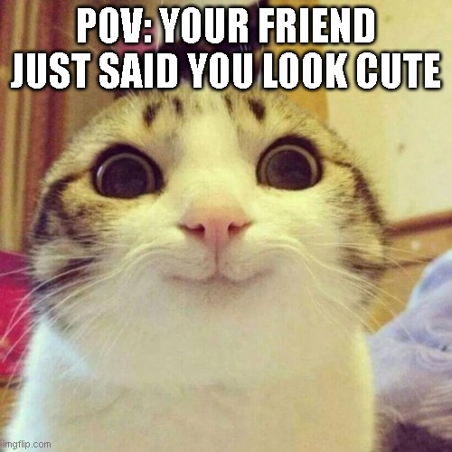 What do you mean by that... | POV: YOUR FRIEND JUST SAID YOU LOOK CUTE | image tagged in memes,smiling cat | made w/ Imgflip meme maker