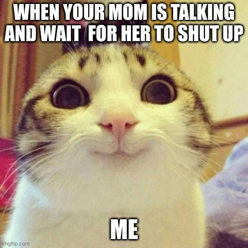 my mom talks forever | WHEN YOUR MOM IS TALKING AND WAIT  FOR HER TO SHUT UP; ME | image tagged in memes,smiling cat | made w/ Imgflip meme maker