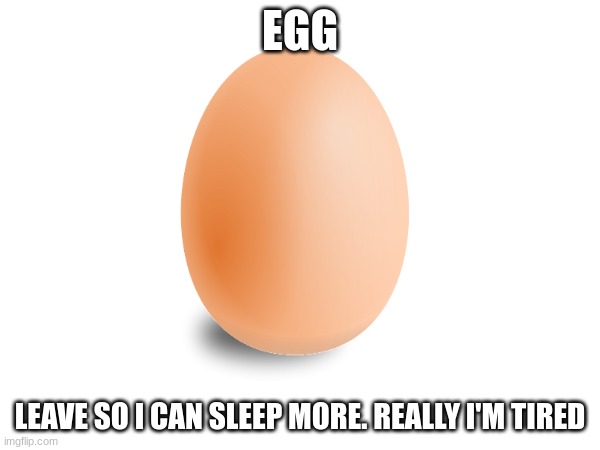 egg | EGG; LEAVE SO I CAN SLEEP MORE. REALLY I'M TIRED | image tagged in egg | made w/ Imgflip meme maker
