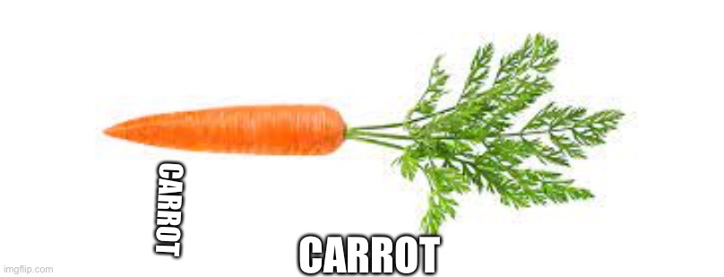 I saw this with cabbage so I did it with a carrot | CARROT; CARROT | image tagged in food | made w/ Imgflip meme maker