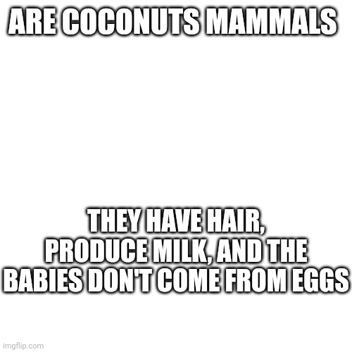 This is a /j | ARE COCONUTS MAMMALS; THEY HAVE HAIR, PRODUCE MILK, AND THE BABIES DON'T COME FROM EGGS | image tagged in memes,blank transparent square | made w/ Imgflip meme maker