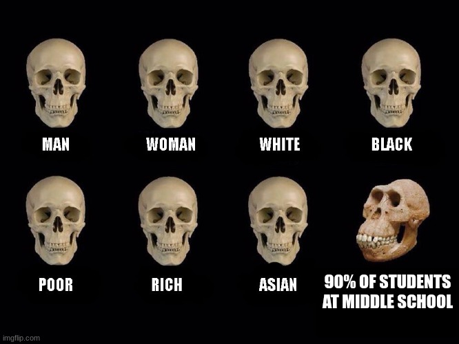 I hate those 90% | 90% OF STUDENTS AT MIDDLE SCHOOL | image tagged in empty skulls of truth,middle school | made w/ Imgflip meme maker