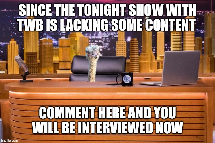 The tonight show with twb | SINCE THE TONIGHT SHOW WITH TWB IS LACKING SOME CONTENT; COMMENT HERE AND YOU WILL BE INTERVIEWED NOW | image tagged in the tonight show with twb | made w/ Imgflip meme maker