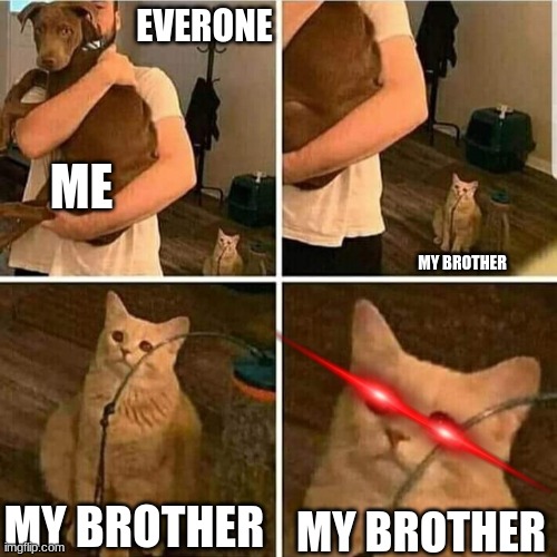 My last meme | EVERONE; ME; MY BROTHER; MY BROTHER; MY BROTHER | image tagged in sad cat holding dog | made w/ Imgflip meme maker