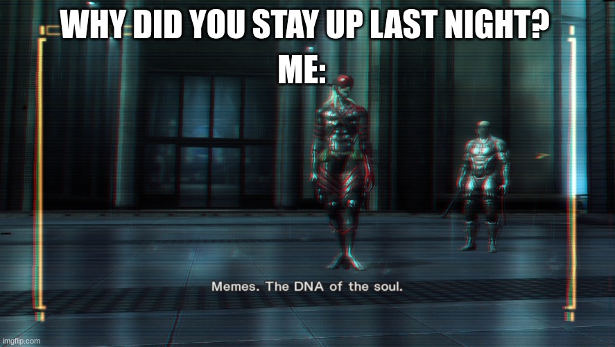 Memes | ME:; WHY DID YOU STAY UP LAST NIGHT? | image tagged in memes the dna of the soul,funny,funny meme,metal gear,memes | made w/ Imgflip meme maker