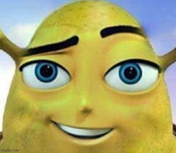 Shreb | image tagged in shreb | made w/ Imgflip meme maker