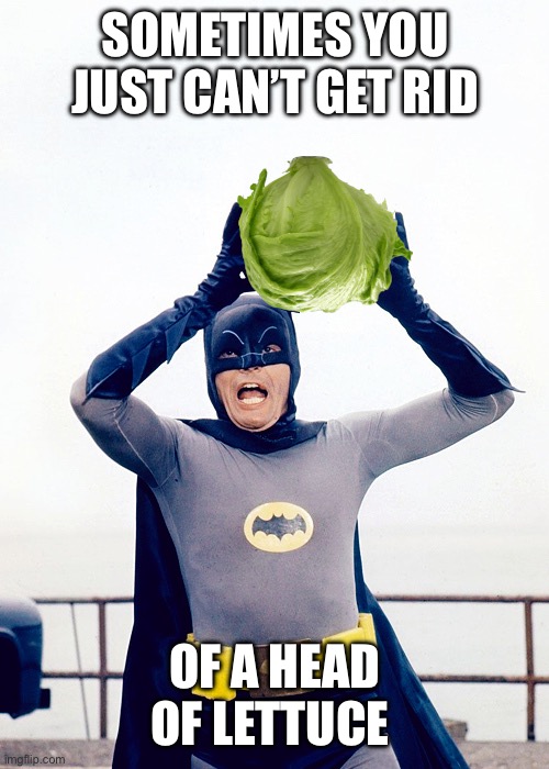 It’s bots Batman | SOMETIMES YOU JUST CAN’T GET RID; OF A HEAD OF LETTUCE | image tagged in lettuce,this meme does not belong on hot | made w/ Imgflip meme maker