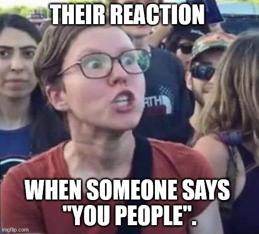 You People | THEIR REACTION; WHEN SOMEONE SAYS 
"YOU PEOPLE". | image tagged in angry liberal | made w/ Imgflip meme maker