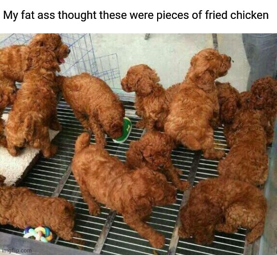 My fat ass thought these were pieces of fried chicken | made w/ Imgflip meme maker