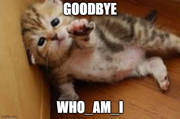 Sad Kitten Goodbye | GOODBYE; WHO_AM_I | image tagged in sad kitten goodbye | made w/ Imgflip meme maker