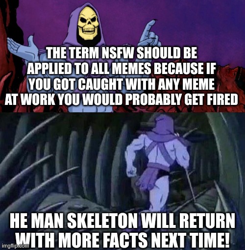 NSFW truth | THE TERM NSFW SHOULD BE APPLIED TO ALL MEMES BECAUSE IF YOU GOT CAUGHT WITH ANY MEME AT WORK YOU WOULD PROBABLY GET FIRED; HE MAN SKELETON WILL RETURN WITH MORE FACTS NEXT TIME! | image tagged in he man skeleton advices | made w/ Imgflip meme maker