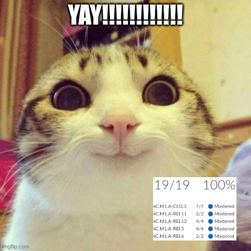 Satisfying | YAY!!!!!!!!!!!! | image tagged in memes,smiling cat | made w/ Imgflip meme maker