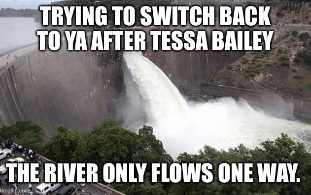 Floodgate | TRYING TO SWITCH BACK TO YA AFTER TESSA BAILEY; THE RIVER ONLY FLOWS ONE WAY. | image tagged in floodgate | made w/ Imgflip meme maker