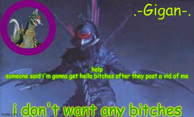 bn | help
someone said i'm gonna get hella bitches after they post a vid of me; i don't want any bitches | made w/ Imgflip meme maker