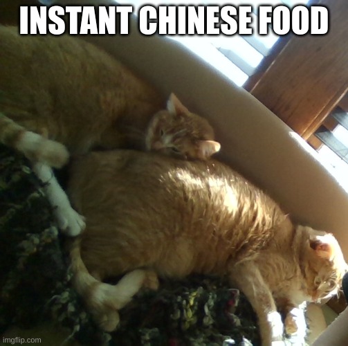 2 of my cats | INSTANT CHINESE FOOD | image tagged in 2 of my cats | made w/ Imgflip meme maker