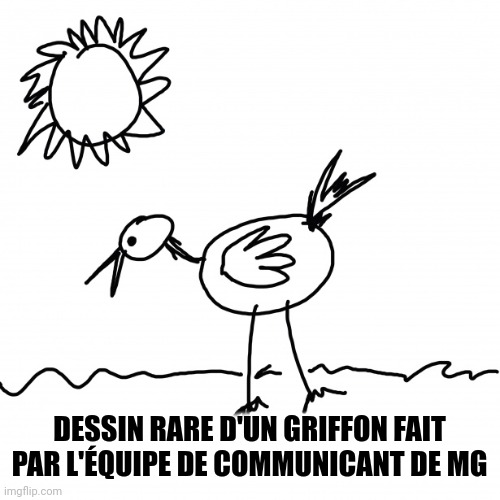 DESSIN RARE D'UN GRIFFON FAIT PAR L'ÉQUIPE DE COMMUNICANT DE MG | made w/ Imgflip meme maker