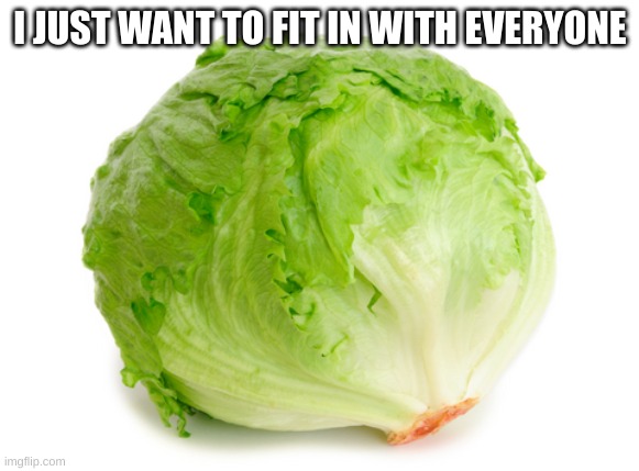 Lettuce  | I JUST WANT TO FIT IN WITH EVERYONE | image tagged in lettuce | made w/ Imgflip meme maker