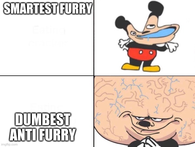 true | SMARTEST FURRY; DUMBEST ANTI FURRY | image tagged in big brain mickey | made w/ Imgflip meme maker