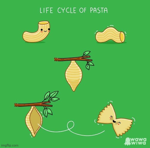 Life cycle of pasta | image tagged in pasta,life cycle,cycle,life,comics,comics/cartoons | made w/ Imgflip meme maker