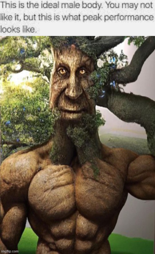 If You're Over 25 and Own a Computer, This Game Is a Must-Have! | image tagged in this is the ideal male body,wise mystical tree | made w/ Imgflip meme maker