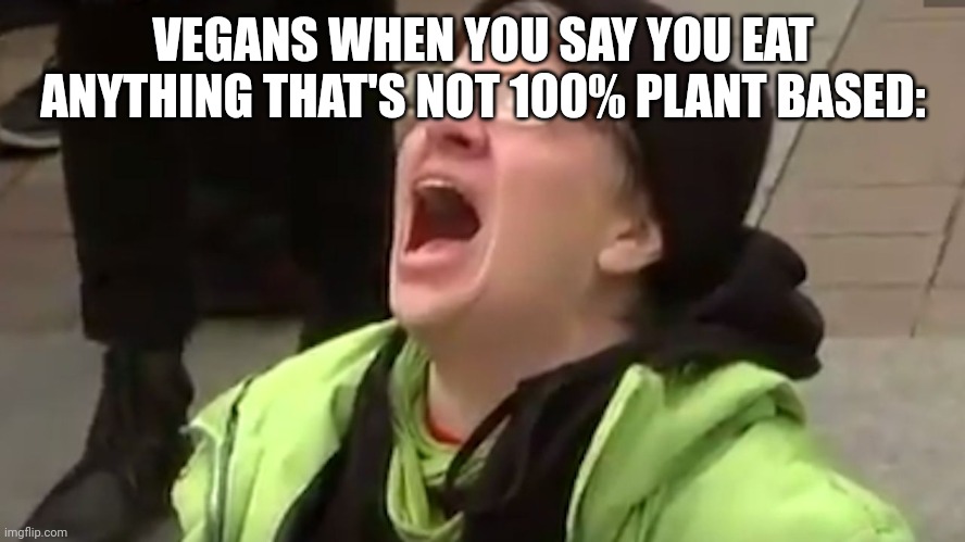 Screaming Liberal  | VEGANS WHEN YOU SAY YOU EAT ANYTHING THAT'S NOT 100% PLANT BASED: | image tagged in screaming liberal | made w/ Imgflip meme maker