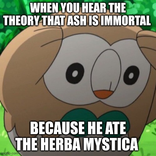 Pokemon Scarlet/Violet | WHEN YOU HEAR THE THEORY THAT ASH IS IMMORTAL; BECAUSE HE ATE THE HERBA MYSTICA | image tagged in rowlet meme template | made w/ Imgflip meme maker