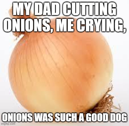 Onion | MY DAD CUTTING ONIONS, ME CRYING, ONIONS WAS SUCH A GOOD DOG | image tagged in onion | made w/ Imgflip meme maker