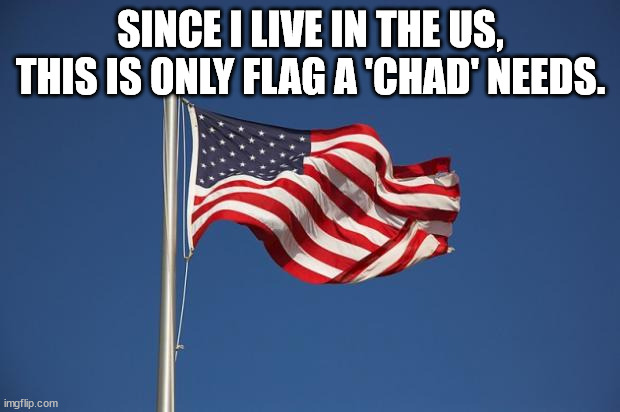 US Flag | SINCE I LIVE IN THE US, THIS IS ONLY FLAG A 'CHAD' NEEDS. | image tagged in us flag | made w/ Imgflip meme maker