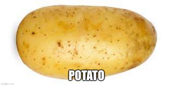 potato (thats it) | POTATO | image tagged in funny,meme,potato | made w/ Imgflip meme maker