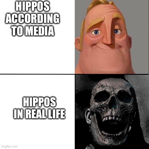Mr Incredible and dead mr incredible | HIPPOS ACCORDING TO MEDIA; HIPPOS IN REAL LIFE | image tagged in mr incredible and dead mr incredible,hippo,fun,funny | made w/ Imgflip meme maker