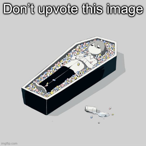 Avogado6 | Don’t upvote this image | image tagged in avogado6 | made w/ Imgflip meme maker