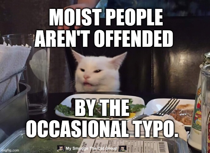 MOIST PEOPLE AREN'T OFFENDED; BY THE OCCASIONAL TYPO. | image tagged in smudge the cat | made w/ Imgflip meme maker