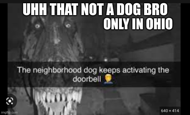 whats wrong in ohio | UHH THAT NOT A DOG BRO; ONLY IN OHIO | image tagged in ohio dog | made w/ Imgflip meme maker