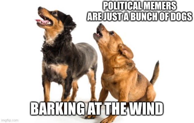 Two dogs barking | POLITICAL MEMERS ARE JUST A BUNCH OF DOGS; BARKING AT THE WIND | image tagged in two dogs barking | made w/ Imgflip meme maker