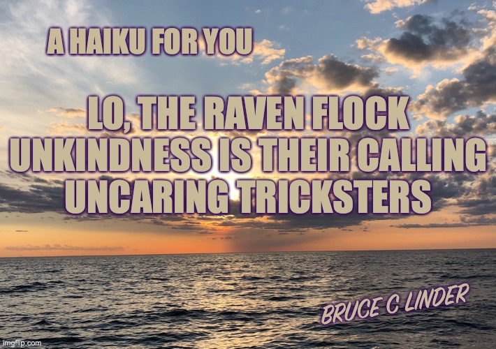An Unkindness of Ravens | A HAIKU FOR YOU; LO, THE RAVEN FLOCK
UNKINDNESS IS THEIR CALLING
UNCARING TRICKSTERS; BRUCE C LINDER | image tagged in ravens,unkindness,haiku | made w/ Imgflip meme maker