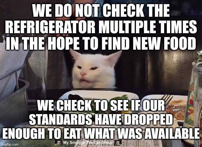 WE DO NOT CHECK THE REFRIGERATOR MULTIPLE TIMES IN THE HOPE TO FIND NEW FOOD; WE CHECK TO SEE IF OUR STANDARDS HAVE DROPPED ENOUGH TO EAT WHAT WAS AVAILABLE | image tagged in smudge the cat | made w/ Imgflip meme maker