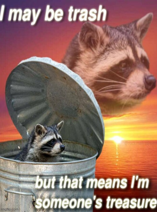 Raccoon motivation 1# | made w/ Imgflip meme maker