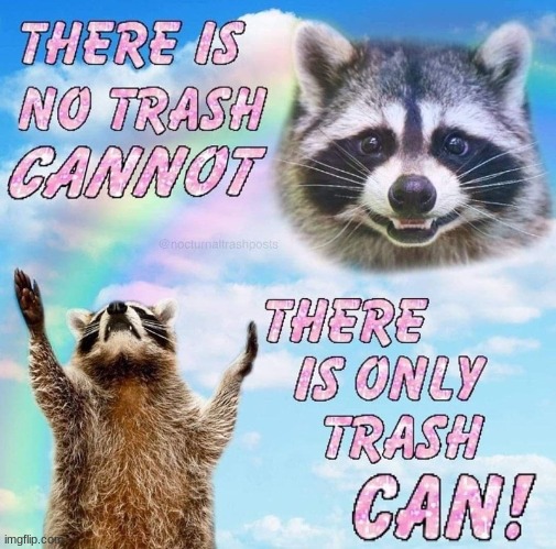 Raccoon meme 3# | made w/ Imgflip meme maker