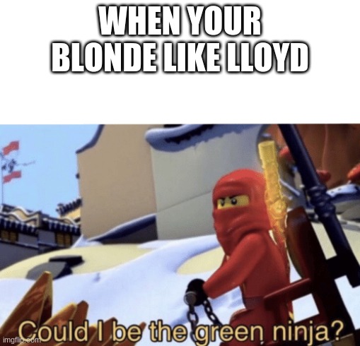 When your blonde :) | WHEN YOUR BLONDE LIKE LLOYD | image tagged in could i be the green ninja | made w/ Imgflip meme maker