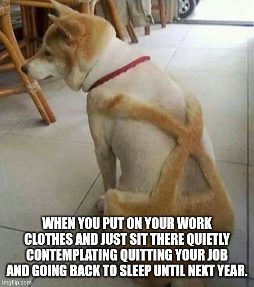 Quiting Job | WHEN YOU PUT ON YOUR WORK CLOTHES AND JUST SIT THERE QUIETLY CONTEMPLATING QUITTING YOUR JOB AND GOING BACK TO SLEEP UNTIL NEXT YEAR. | image tagged in job | made w/ Imgflip meme maker