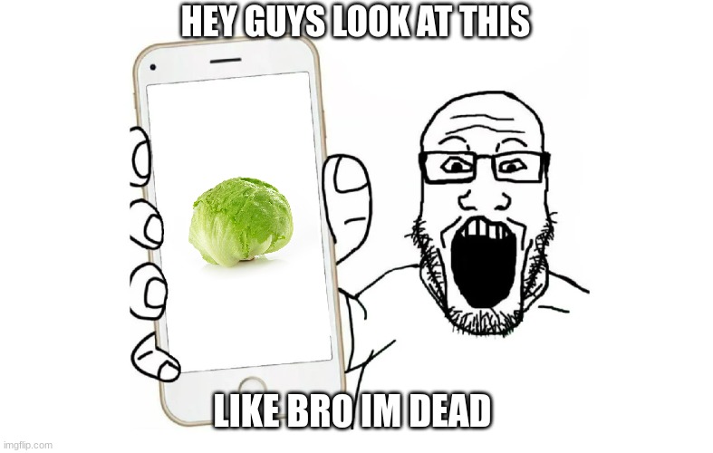 Oh joy, another meme making fun of lettuce. | HEY GUYS LOOK AT THIS; LIKE BRO IM DEAD | image tagged in lettuce,memes,funny,hey guys look at this | made w/ Imgflip meme maker