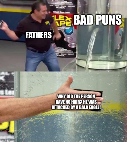Flex Tape | BAD PUNS; FATHERS; WHY DID THE PERSON HAVE NO HAIR? HE WAS ATTACKED BY A BALD EAGLE! | image tagged in flex tape | made w/ Imgflip meme maker