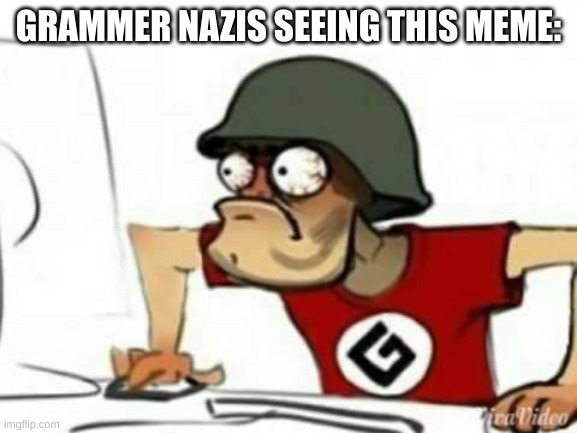 Grammer Nazi | GRAMMER NAZIS SEEING THIS MEME: | image tagged in grammer nazi | made w/ Imgflip meme maker
