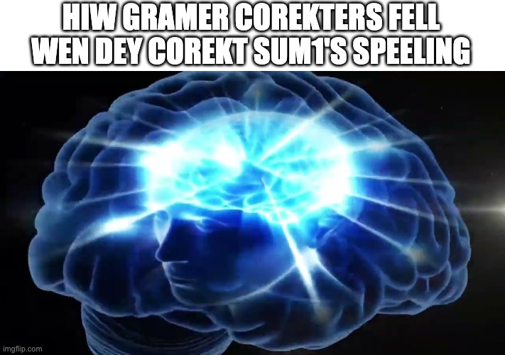 dey r so anoy | HIW GRAMER COREKTERS FELL WEN DEY COREKT SUM1'S SPEELING | image tagged in but you didn't have to cut me off | made w/ Imgflip meme maker