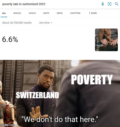 No offense to impoverished Swiss peoples | POVERTY; SWITZERLAND | image tagged in we don't do that here,switzerland,poverty,black panther,bing,i have crippling depression | made w/ Imgflip meme maker