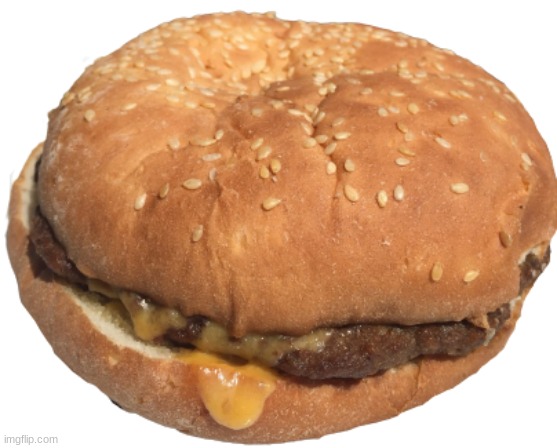 plain ass burger | image tagged in plain ass burger | made w/ Imgflip meme maker
