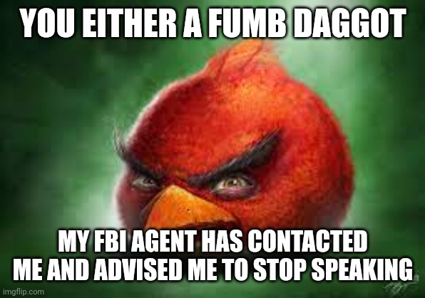 Realistic Red Angry Birds | YOU EITHER A FUMB DAGGOT; MY FBI AGENT HAS CONTACTED ME AND ADVISED ME TO STOP SPEAKING | image tagged in realistic red angry birds | made w/ Imgflip meme maker