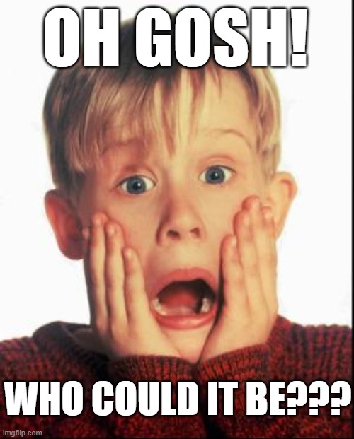 Oh gosh! Who could it be??? reaction JPP | OH GOSH! WHO COULD IT BE??? | image tagged in home alone kid,reaction,funny,humor,kevin,group | made w/ Imgflip meme maker