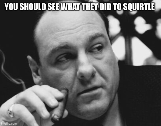 Tony Soprano Admin Gangster | YOU SHOULD SEE WHAT THEY DID TO SQUIRTLE | image tagged in tony soprano admin gangster | made w/ Imgflip meme maker