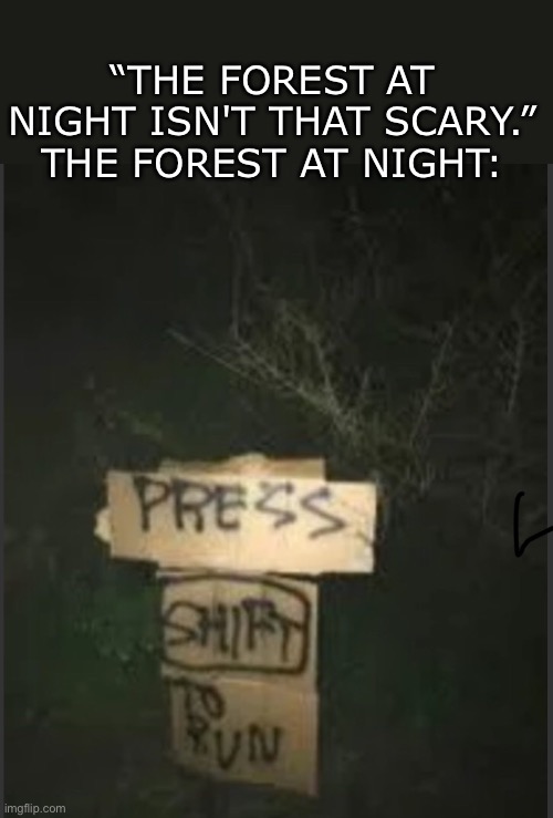 “Press SHIFT to run.” | “THE FOREST AT NIGHT ISN'T THAT SCARY.”
THE FOREST AT NIGHT: | image tagged in gaming,horror,forest | made w/ Imgflip meme maker